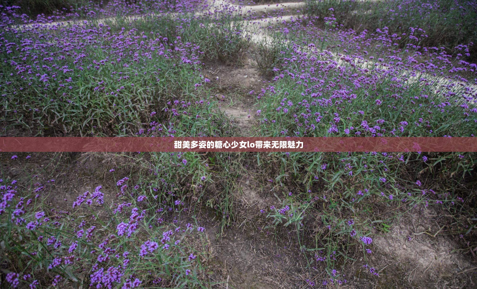 甜美多姿的糖心少女lo带来无限魅力