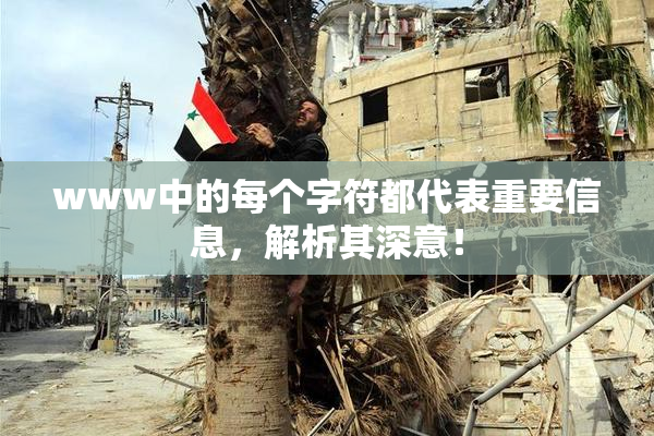 www中的每个字符都代表重要信息，解析其深意！