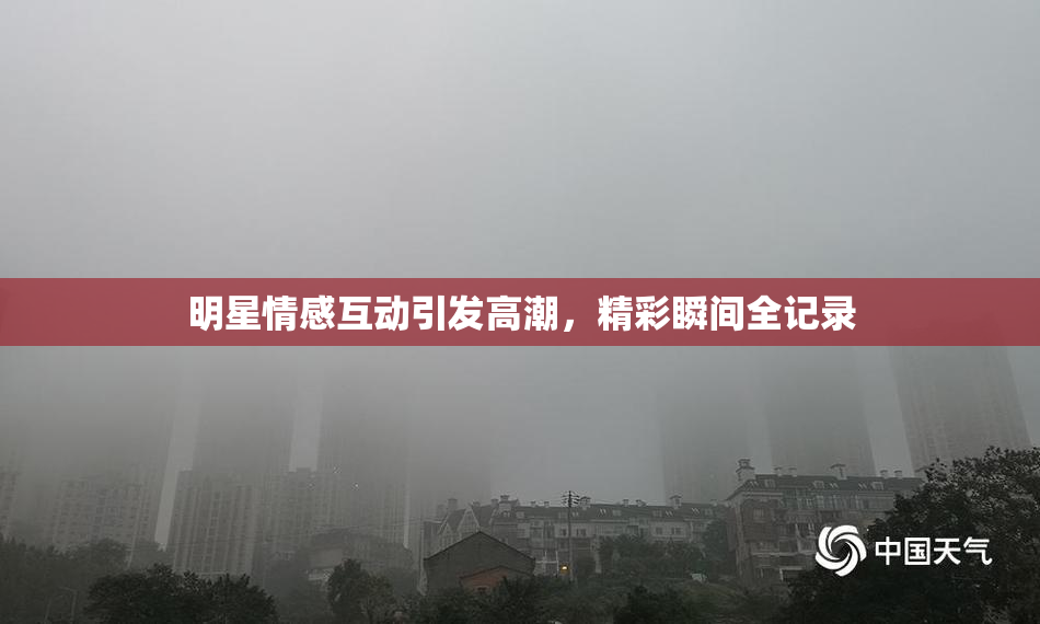 明星情感互动引发高潮，精彩瞬间全记录