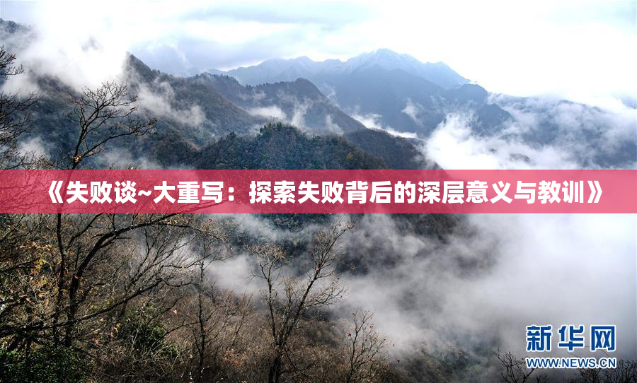 《失败谈~大重写：探索失败背后的深层意义与教训》