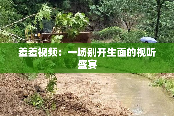 羞羞视频：一场别开生面的视听盛宴