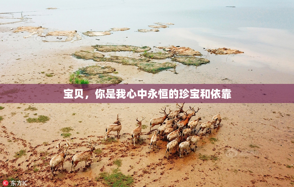 宝贝，你是我心中永恒的珍宝和依靠