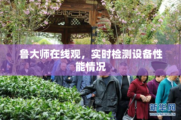 鲁大师在线观，实时检测设备性能情况