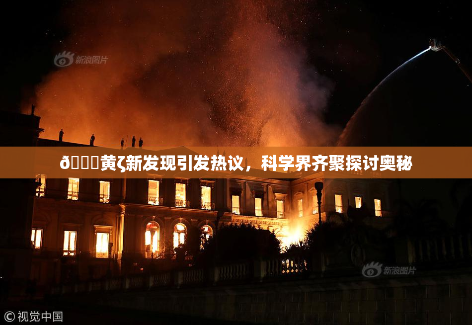 🔞黄ζ新发现引发热议，科学界齐聚探讨奥秘