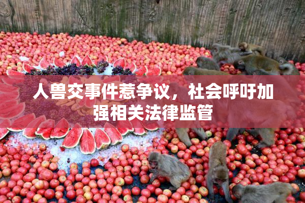 人兽交事件惹争议，社会呼吁加强相关法律监管