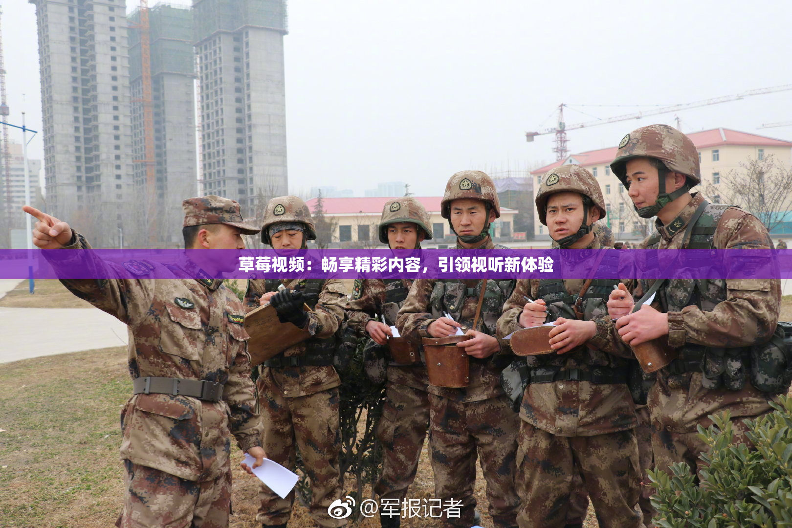 草莓视频：畅享精彩内容，引领视听新体验