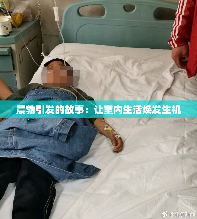 晨勃引发的故事：让室内生活焕发生机