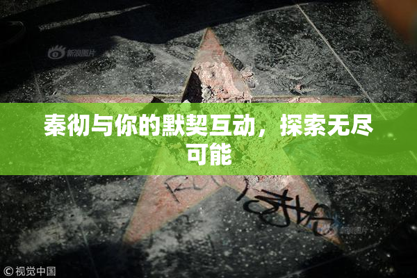 秦彻与你的默契互动，探索无尽可能