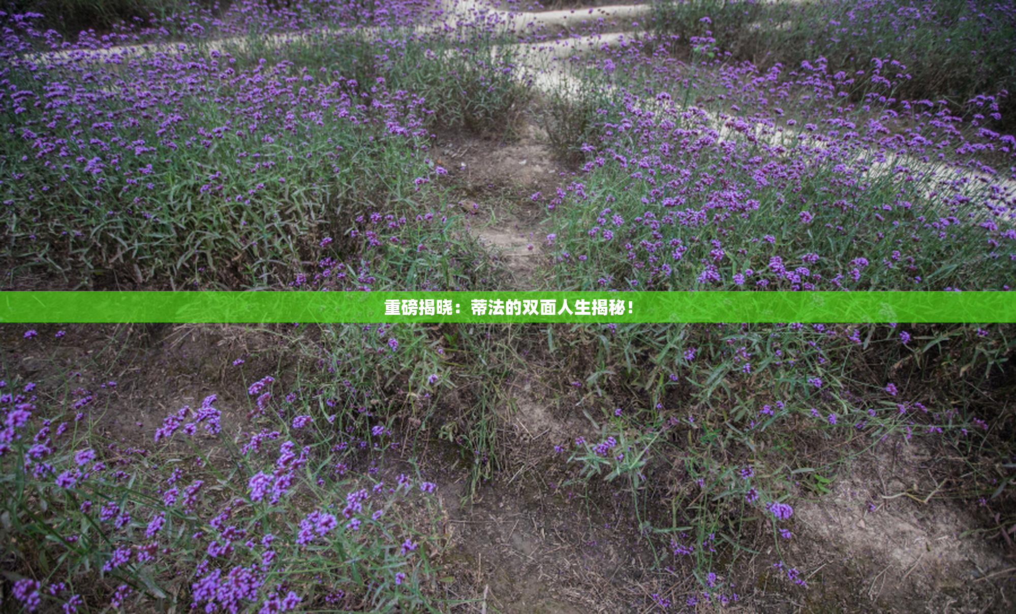 重磅揭晓：蒂法的双面人生揭秘！