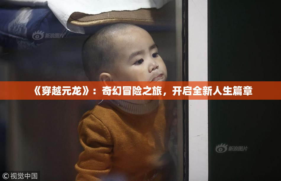 《穿越元龙》：奇幻冒险之旅，开启全新人生篇章