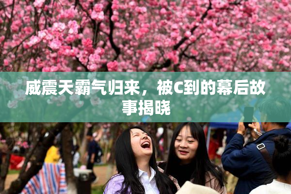 威震天霸气归来，被C到的幕后故事揭晓