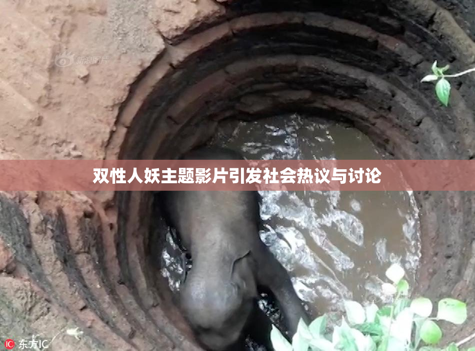 双性人妖主题影片引发社会热议与讨论