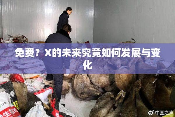 免费？X的未来究竟如何发展与变化
