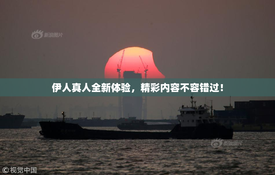 伊人真人全新体验，精彩内容不容错过！