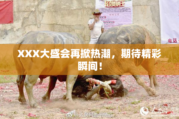 XXX大盛会再掀热潮，期待精彩瞬间！