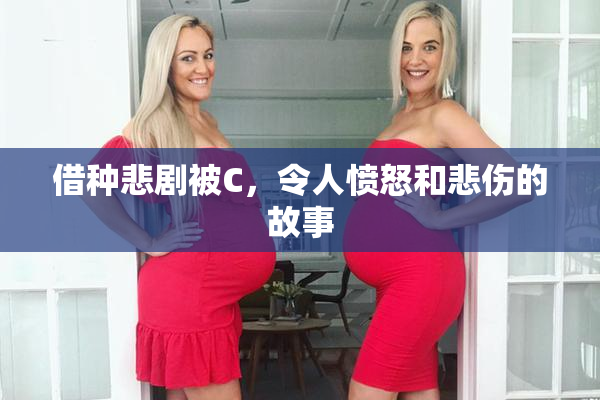 借种悲剧被C，令人愤怒和悲伤的故事