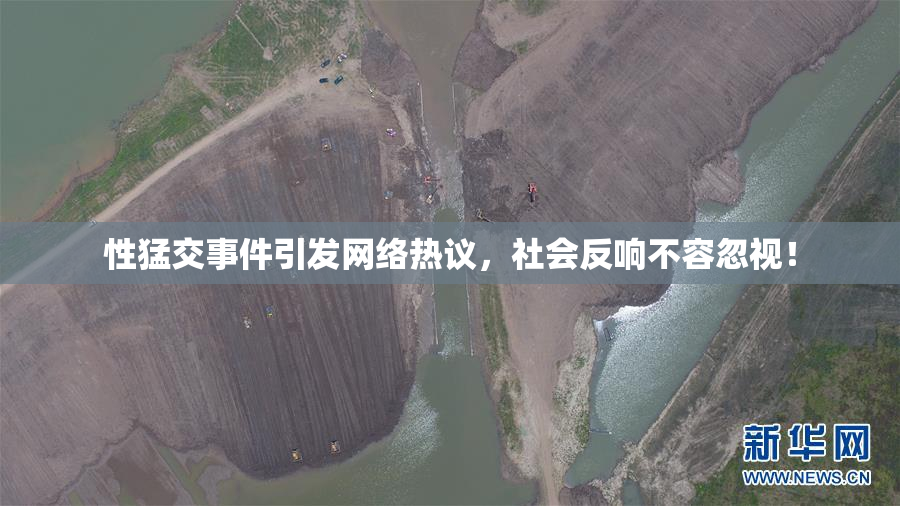 性猛交事件引发网络热议，社会反响不容忽视！