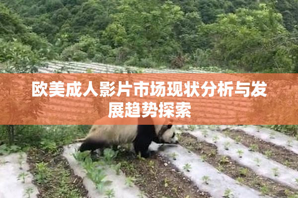 欧美成人影片市场现状分析与发展趋势探索