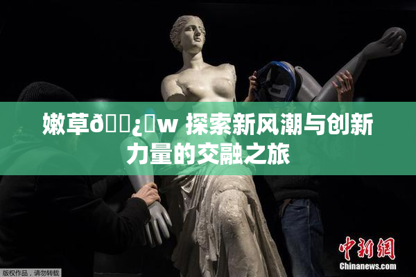 嫩草🌿‌w 探索新风潮与创新力量的交融之旅