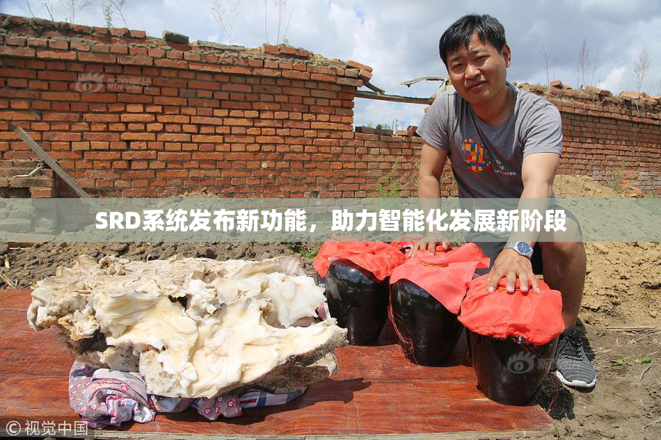 SRD系统发布新功能，助力智能化发展新阶段