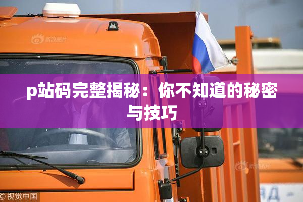 p站码完整揭秘：你不知道的秘密与技巧