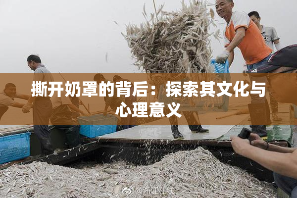 撕开奶罩的背后：探索其文化与心理意义