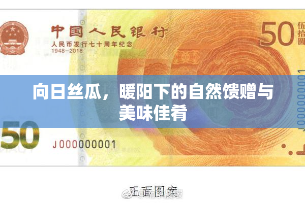 向日丝瓜，暖阳下的自然馈赠与美味佳肴