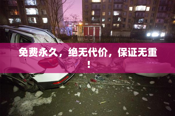 免费永久，绝无代价，保证无重！