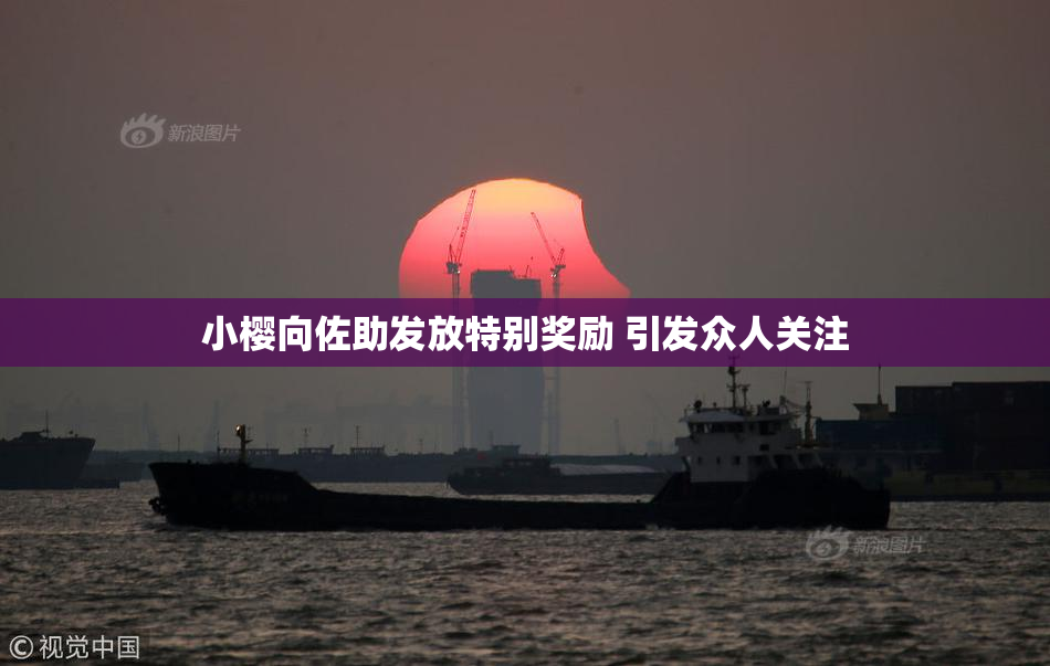 小樱向佐助发放特别奖励 引发众人关注