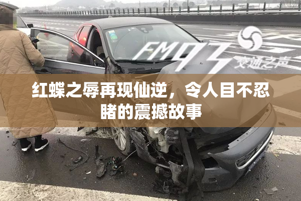 红蝶之辱再现仙逆，令人目不忍睹的震撼故事