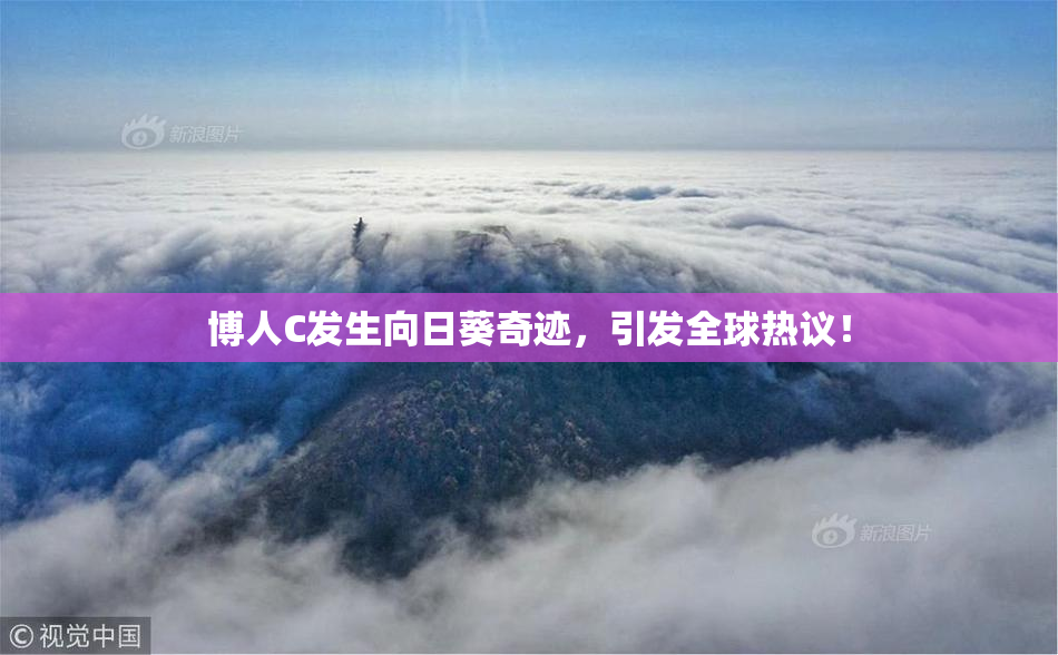 博人C发生向日葵奇迹，引发全球热议！
