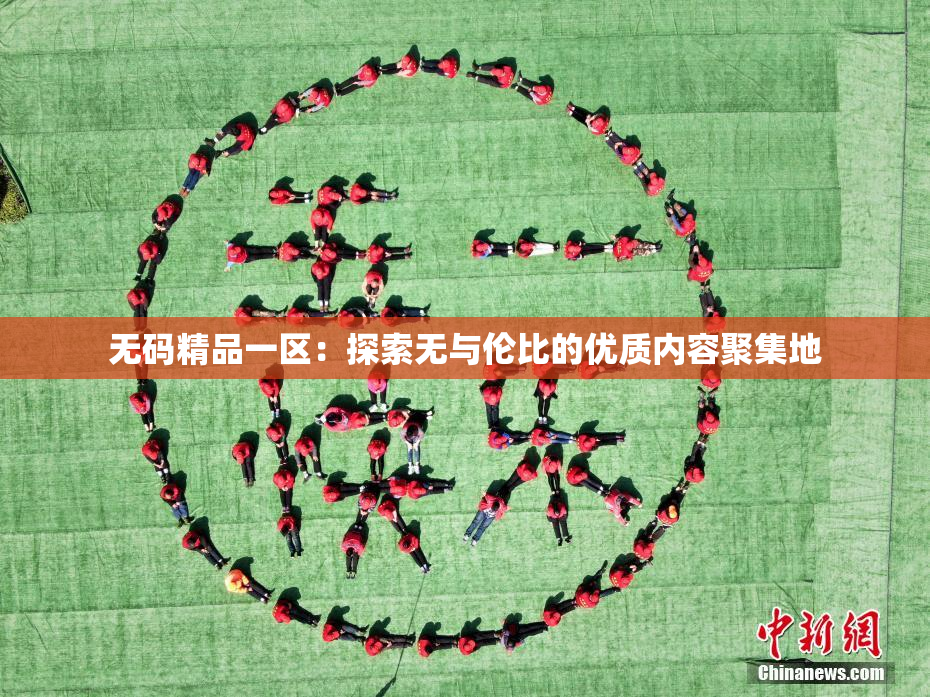 无码精品一区：探索无与伦比的优质内容聚集地