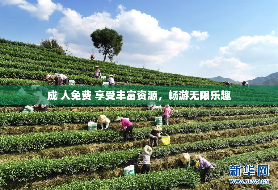 成 人免费 享受丰富资源，畅游无限乐趣