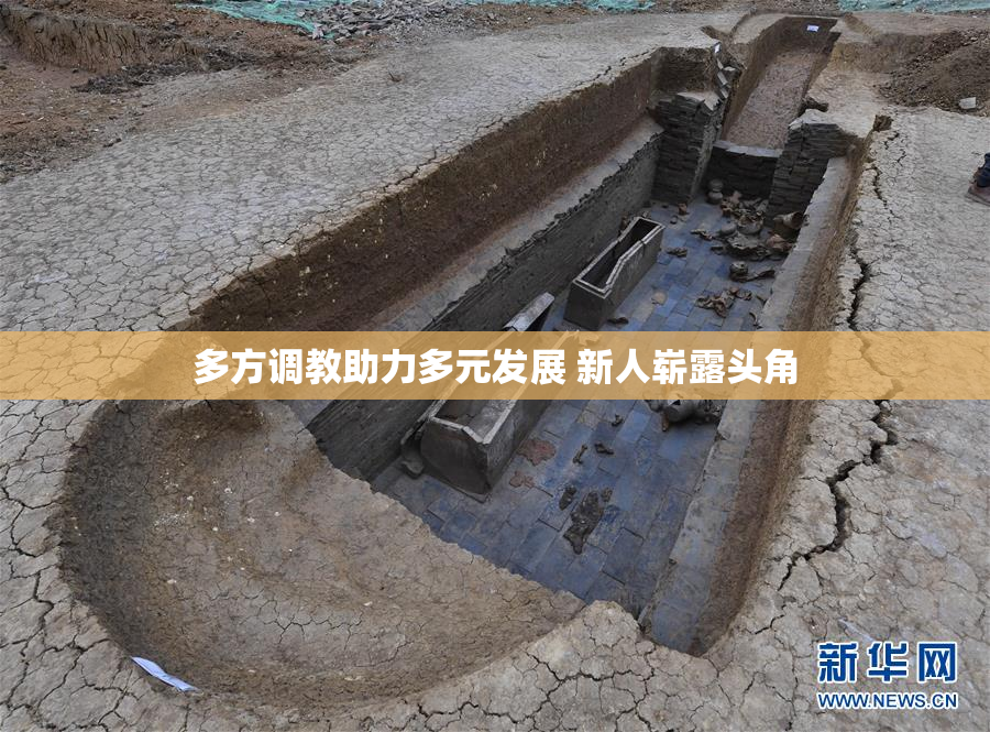 多方调教助力多元发展 新人崭露头角