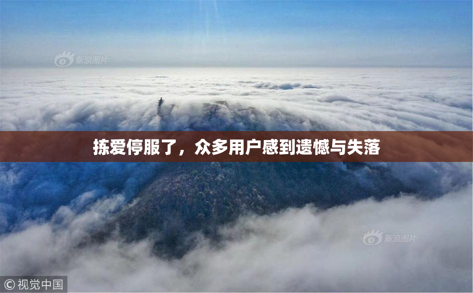 拣爱停服了，众多用户感到遗憾与失落