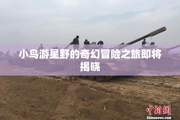 小鸟游星野的奇幻冒险之旅即将揭晓