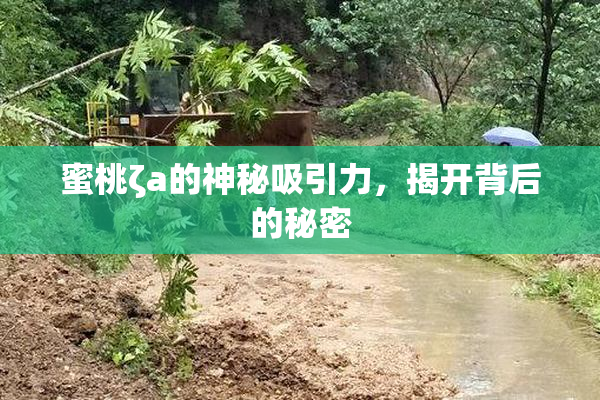 蜜桃ζa的神秘吸引力，揭开背后的秘密