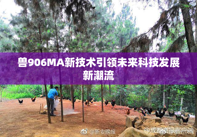 兽906MA新技术引领未来科技发展新潮流