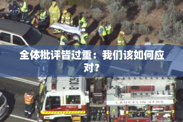 全体批评皆过重：我们该如何应对？