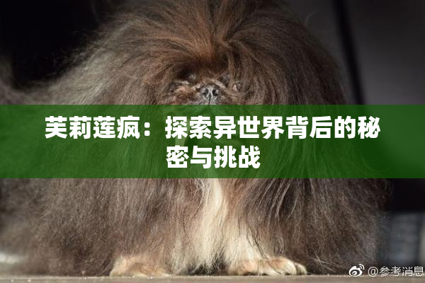 芙莉莲疯：探索异世界背后的秘密与挑战