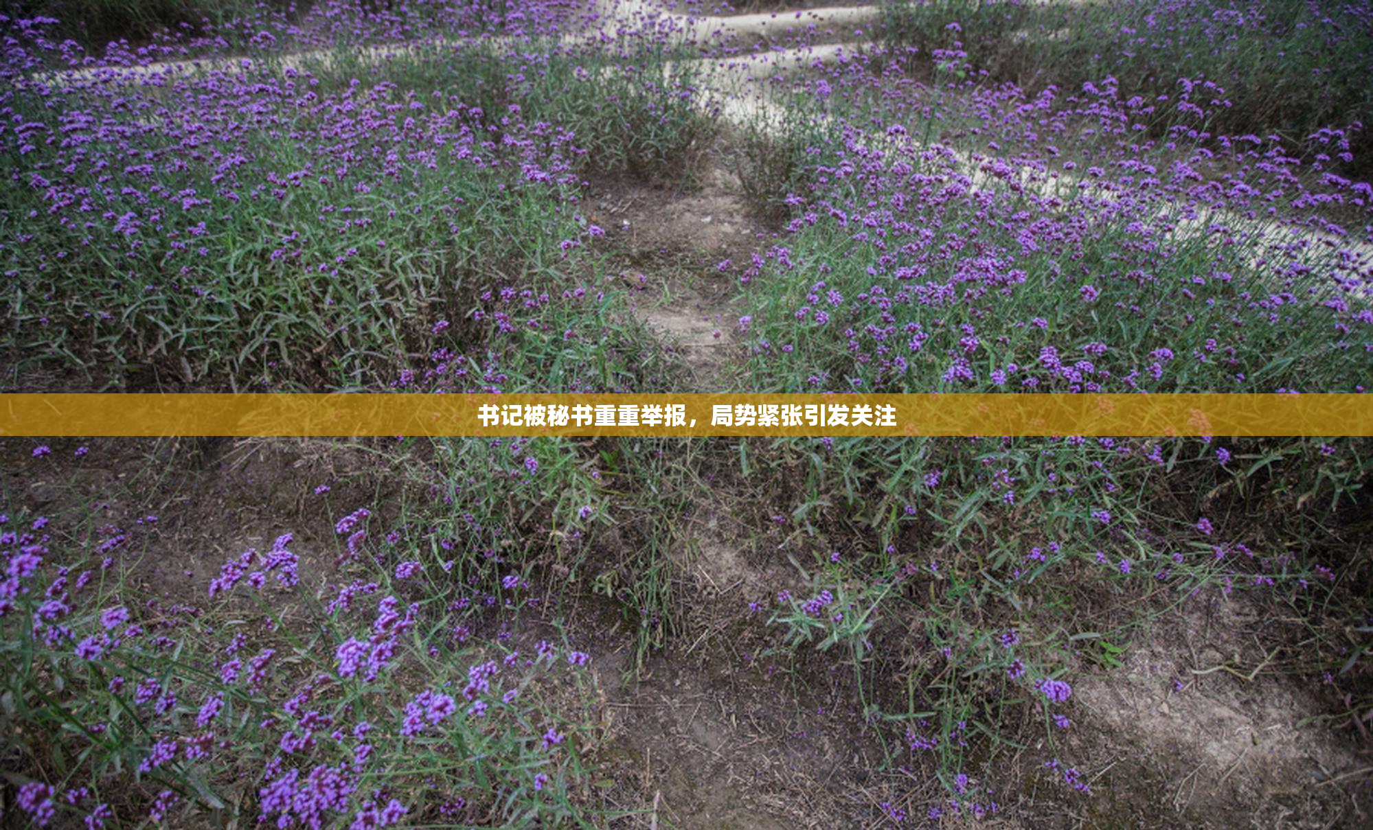 书记被秘书重重举报，局势紧张引发关注