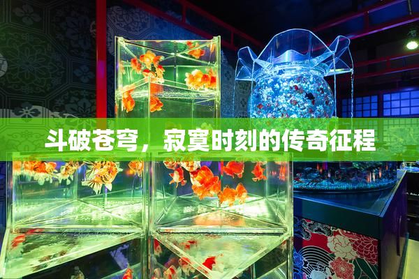 斗破苍穹，寂寞时刻的传奇征程