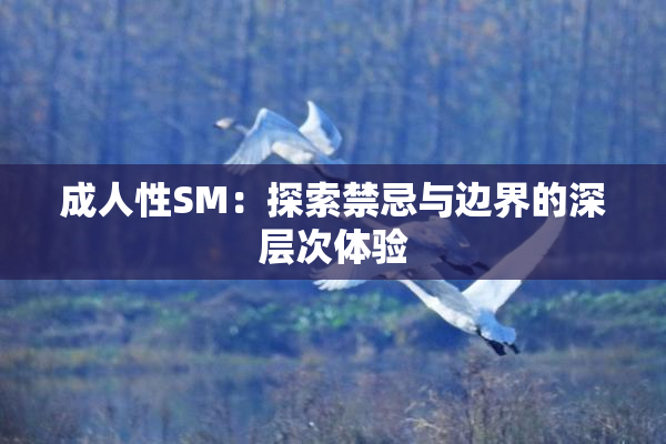 成人性SM：探索禁忌与边界的深层次体验