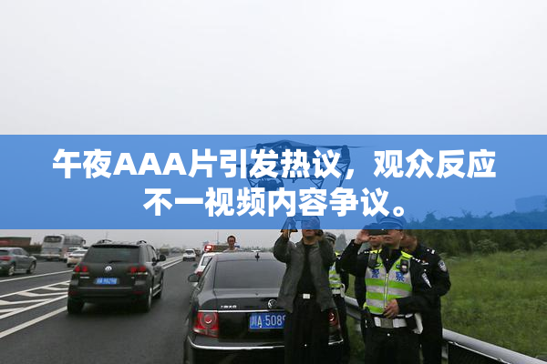 午夜AAA片引发热议，观众反应不一视频内容争议。