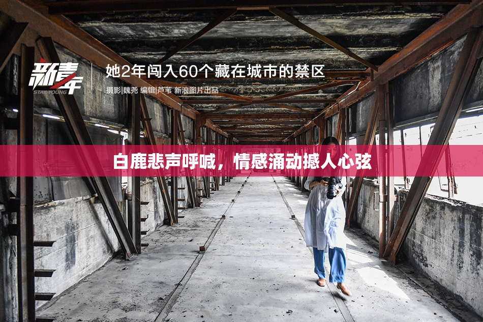 白鹿悲声呼喊，情感涌动撼人心弦