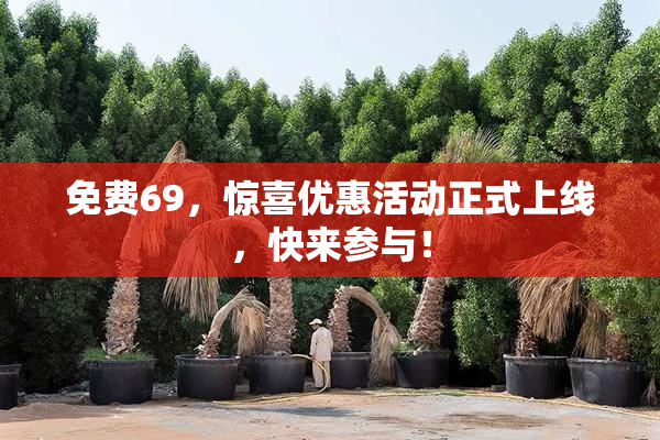 免费69，惊喜优惠活动正式上线，快来参与！