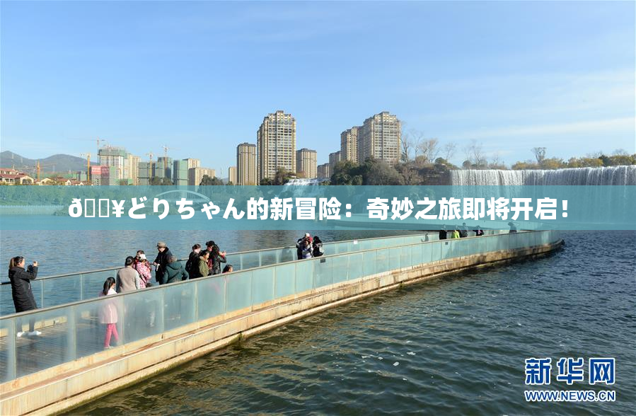 🔥どりちゃん的新冒险：奇妙之旅即将开启！