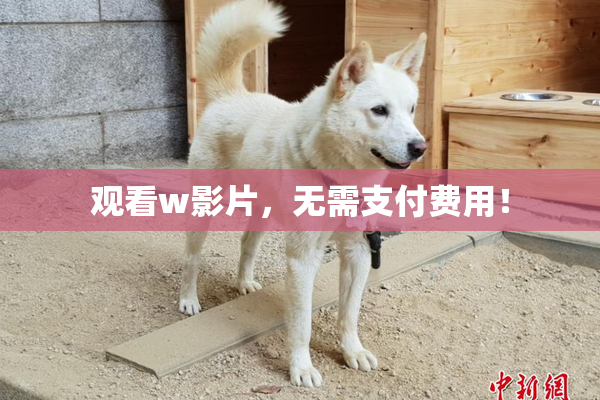 观看w影片，无需支付费用！
