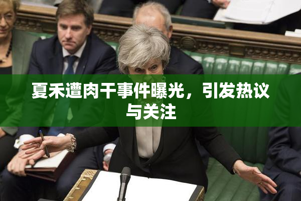 夏禾遭肉干事件曝光，引发热议与关注