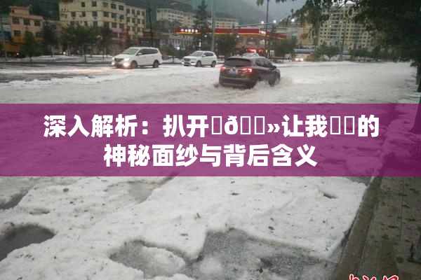 深入解析：扒开‌🐻让我❌‌的神秘面纱与背后含义